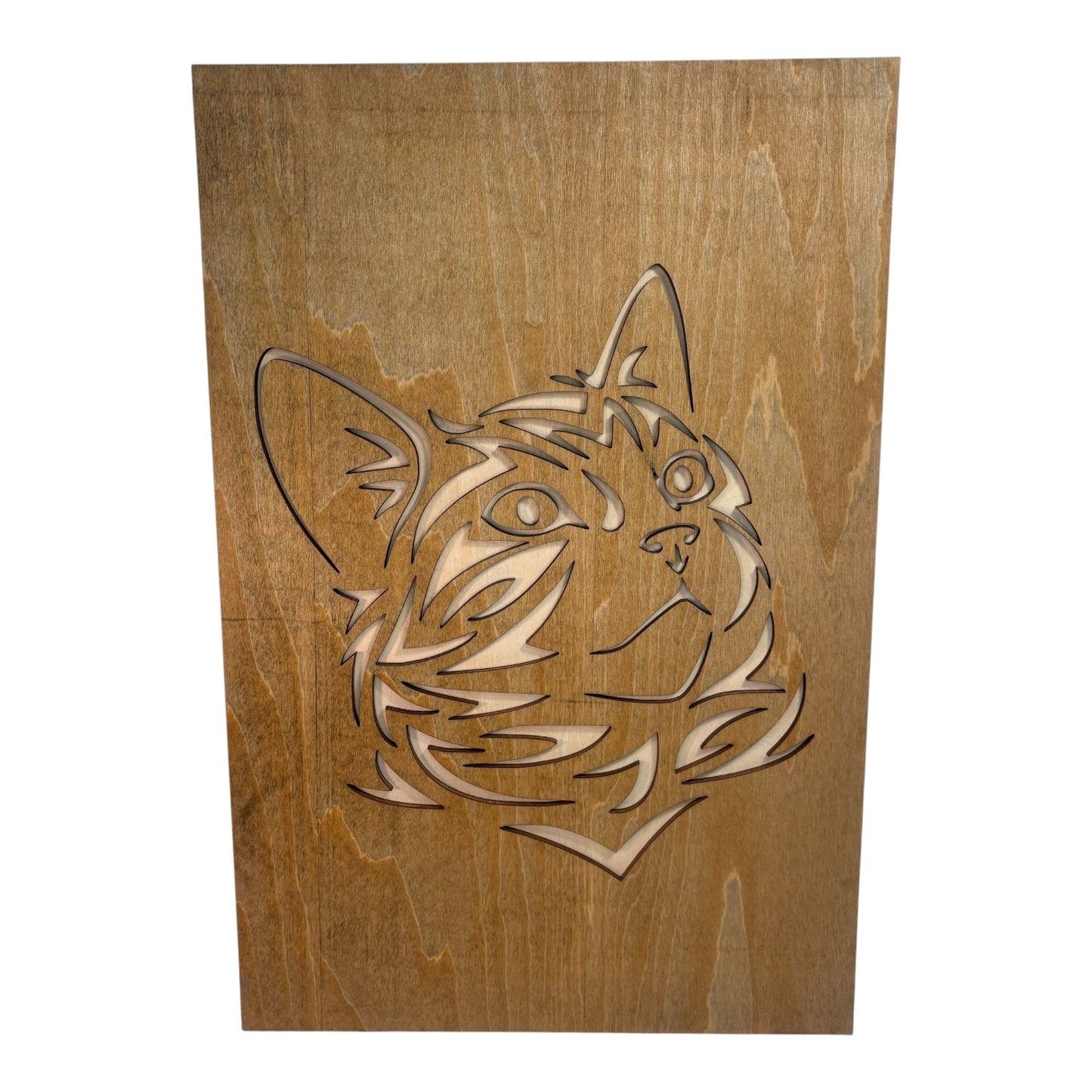 Tribal cat paintings